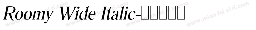 Roomy Wide Italic字体转换